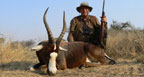 Hunting Africa Blesbok