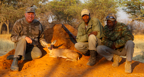 Hunting Africa Steenbok