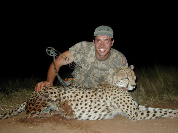 This is the first Cheetah taken with a bow in Namibia. World renowned bowhunter Steve Kobrine took this Cheetah with a 75 yard shot.