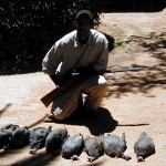 Bird Hunting Africa