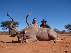 Greater Kudu