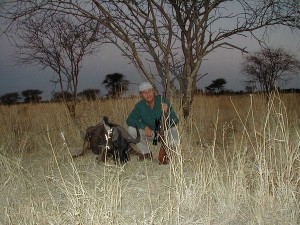 Black Wildebeest