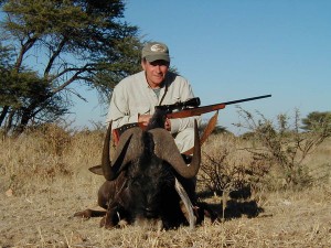 Black Wildebeest