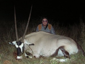 Gemsbok/Oryx