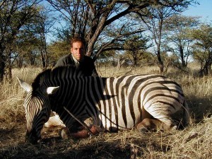 Burchell's Plain Zebra