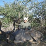 Greater Kudu