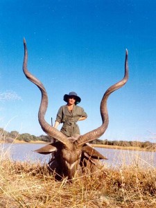 Greater Kudu