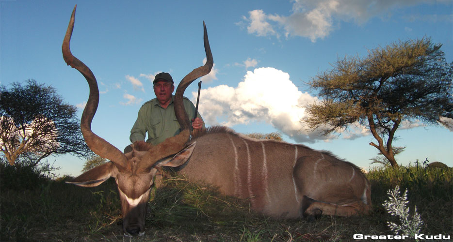 african hunting safari namibia