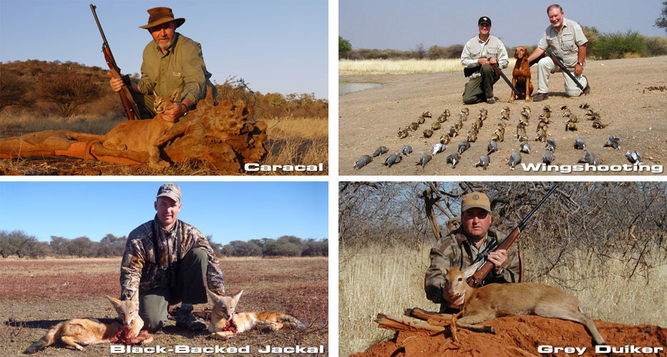 Hunting Namibia