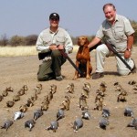 Hunting Bird Africa